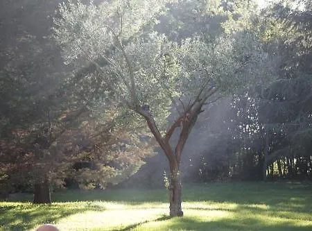 Mas Des Comtes De Provence Szálloda